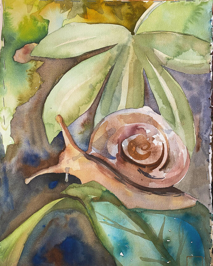 Slowly the Snail (July 2020, trad. watercolor)